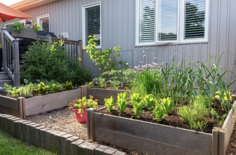 Front Yard Garden